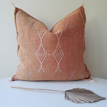 Load image into Gallery viewer, Terracotta Sabra Silk Pillow